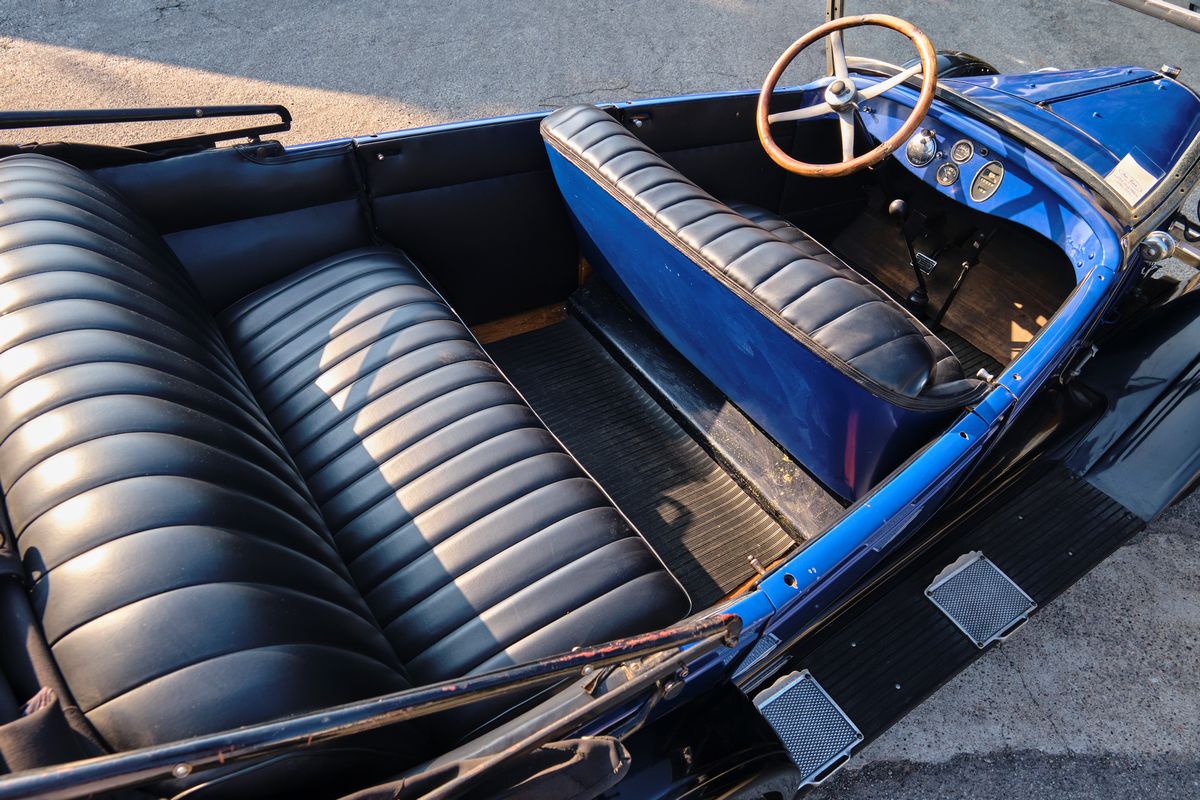 Whippet - Phaeton