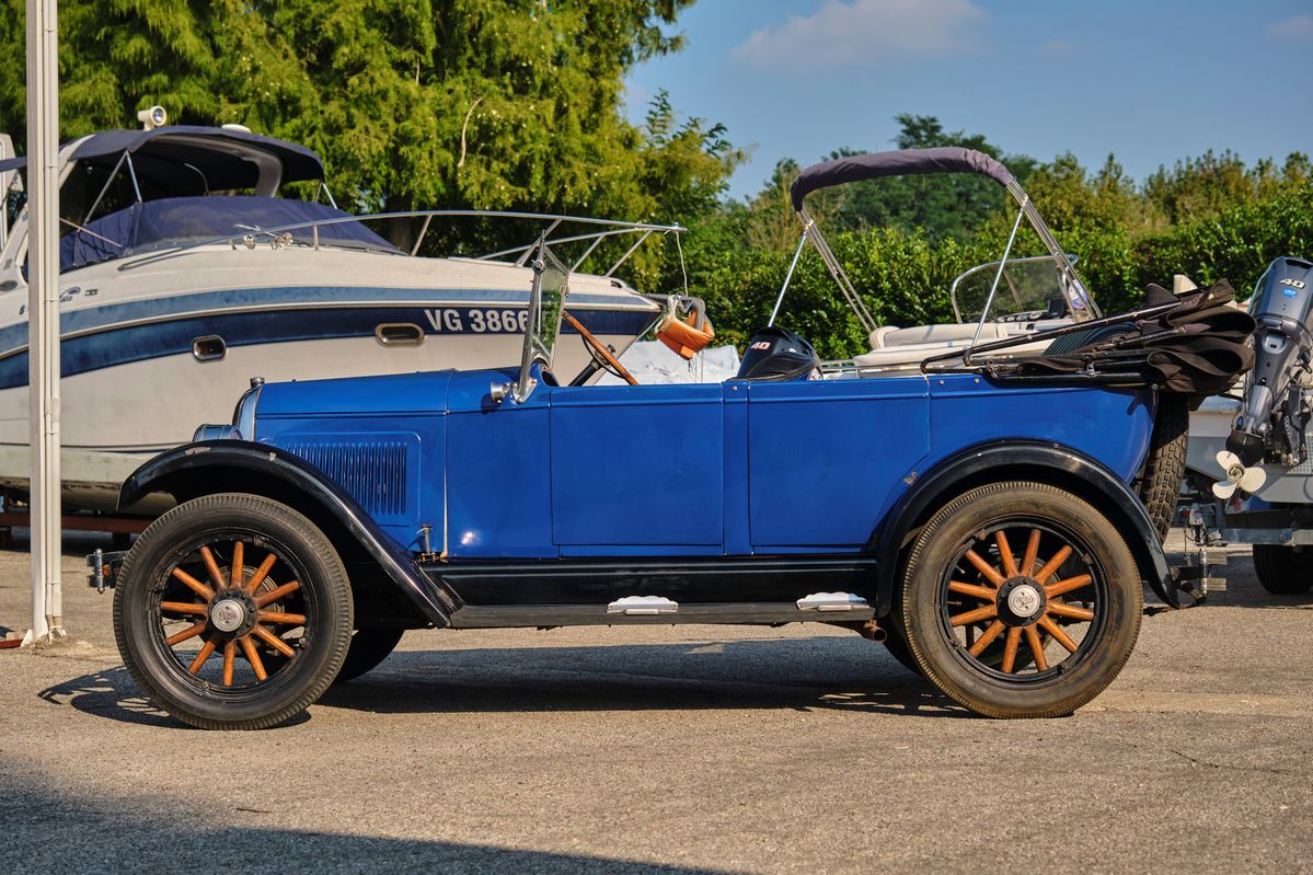 Whippet - Phaeton