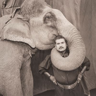 Ran Prakash Singh With His Elephant, India, dalla Serie "the Year Of Tibet"