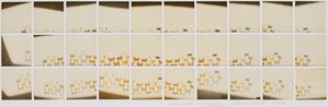 Galimberti Maurizio - Farfalle Paper in my atelier...