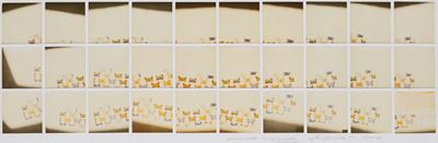 Farfalle Paper in My Atelier...