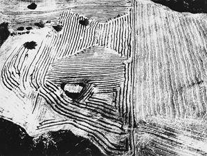 Giacomelli Mario - Storie di terra dal 1970 ad oggi