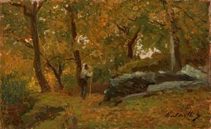 Bertarelli Guido - In the wood