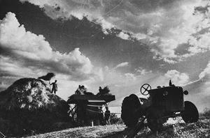 Untitled (Work in the fields, Langhe)