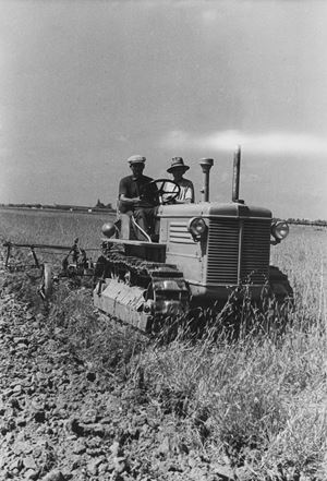 Untitled (Work in the fields, Langhe)
