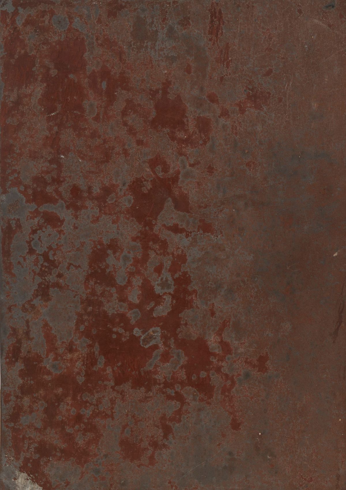 Scuola Napoletana, Secolo XVIII - Immacolata Concezione, olio su zinco