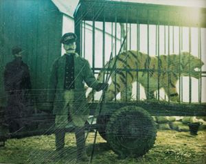 From the series "Winter Stories"