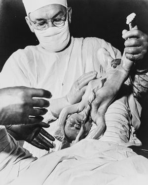 Untitled (birth scene)