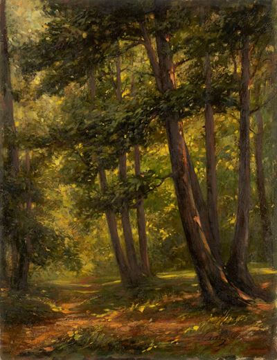 Luci nel bosco, olio su legno