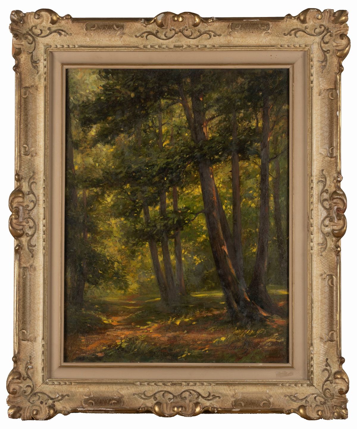 Tito Corbella - Luci nel bosco, olio su legno