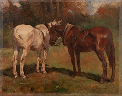 Cavallo bianco e cavallo baio, olio su legno
