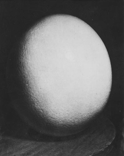 Autore 1, Ostrich Egg; Stampa alla gelatina ai sali d'argento, 1944