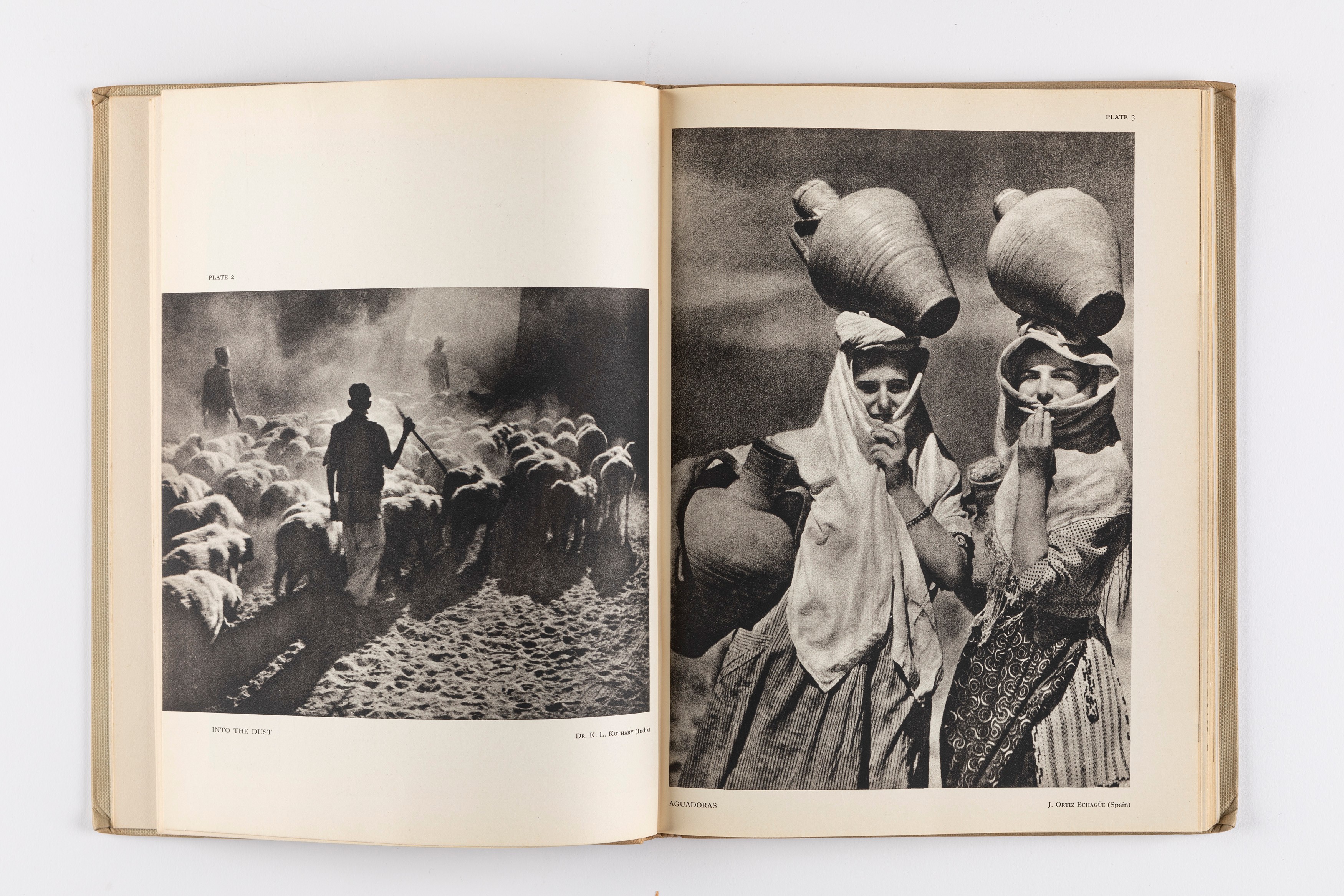 Amateur Photographer, Photograms of the Year 1953