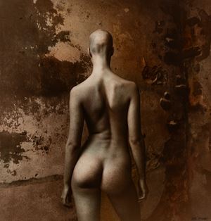 Female nude with a bald head seen from behind