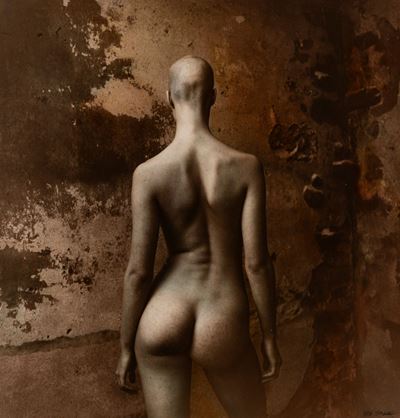Female Nude With a Bald Head Seen From Behind