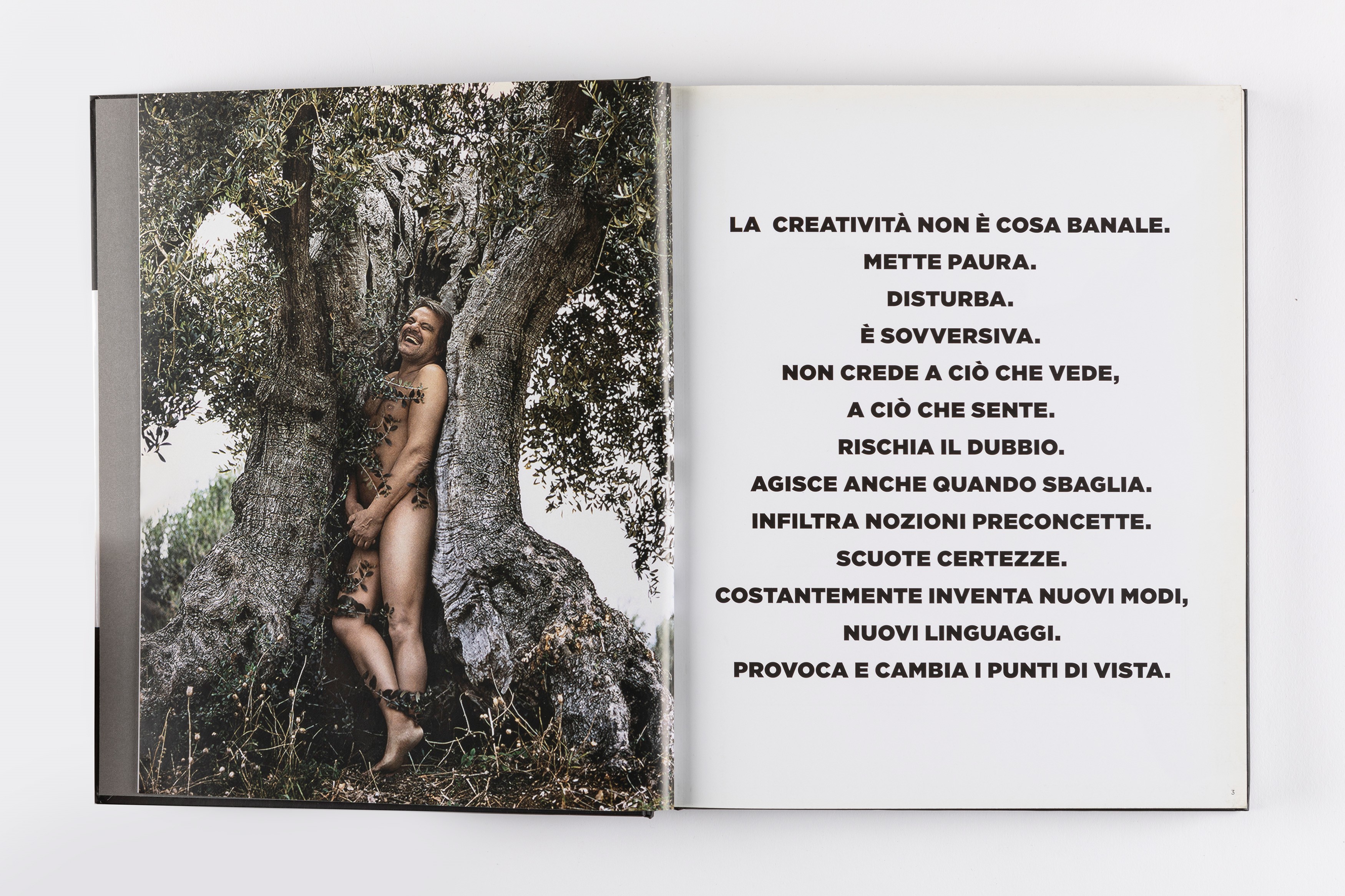Oliviero Toscani - Più di 50 anni di magnifici fallimenti, volume edito da Mondadori