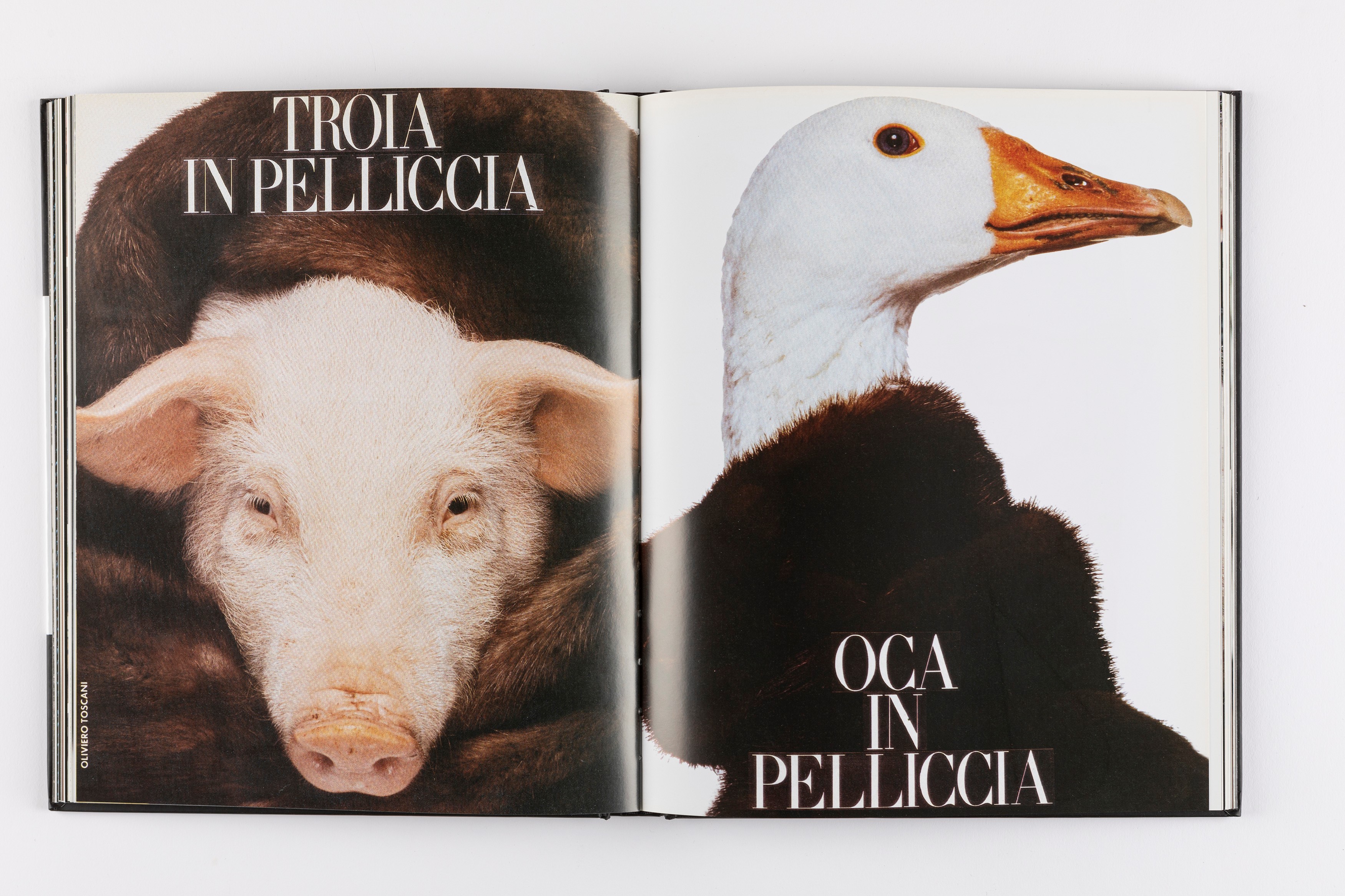 Oliviero Toscani - Più di 50 anni di magnifici fallimenti, volume edito da Mondadori