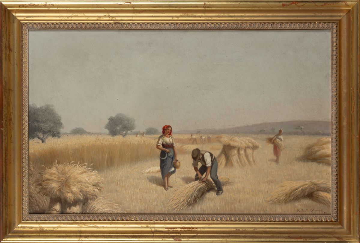 Raffaello Celommi - La mietitura del grano, olio su tela