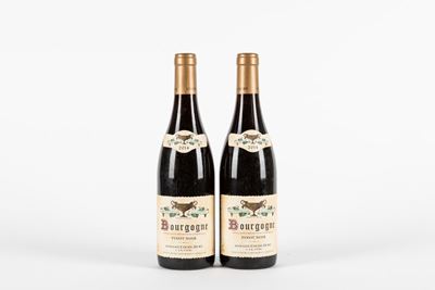Coche-Dury, Bourgogne Pinot Noir 2014 (2 bottiglie)