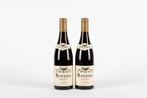 Coche-Dury Bourgogne Pinot Noir 2017 (2 BT)