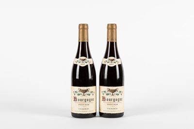 Coche-Dury, Bourgogne Pinot Noir 2017 (2 bottiglie)