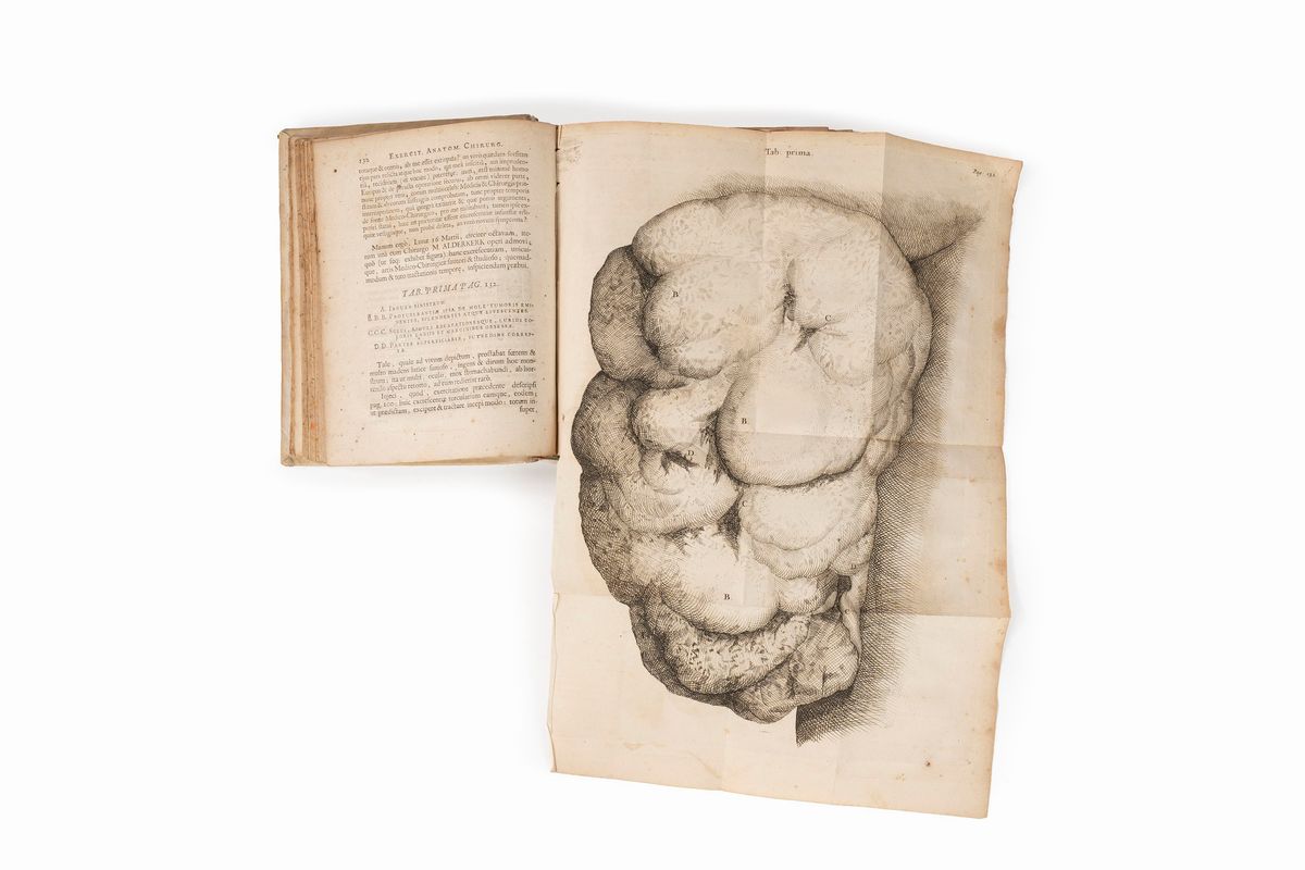 Govert Bidloo - Opera Omnia Anatomico Chirurgica Edita Et Inedita.