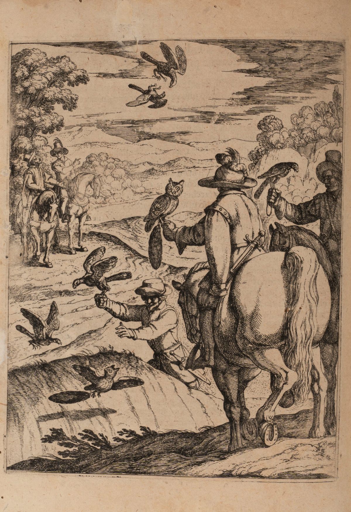 Giovan Pietro Olina - Uccelliera Overo Discorso della Natura e Proprietà di Diversi Uccelli e in ...