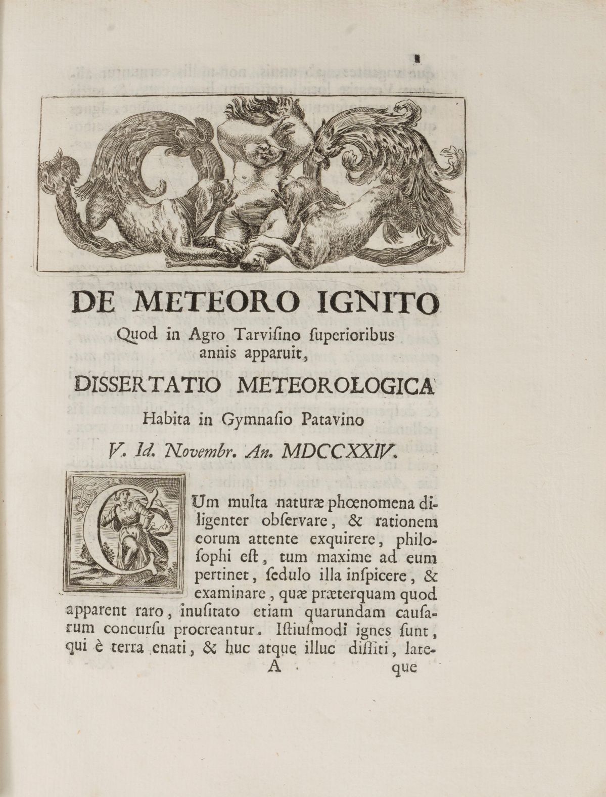 Ludovico Ripa - Miscellanea