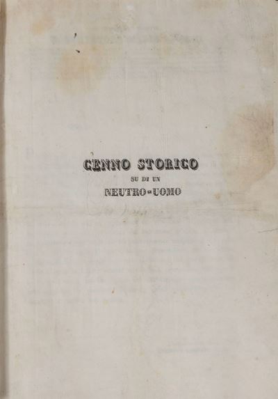 Cenno Storico su di un Neutro-uomo
