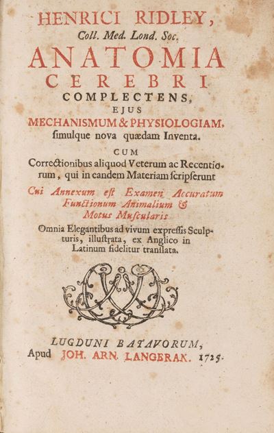 Anatomia Cerebri
