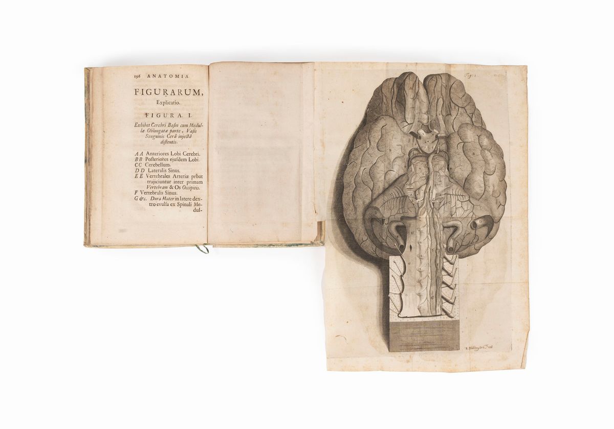 Humphrey Ridley - Anatomia Cerebri