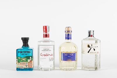 Selezione di Gin (Cortina Mountain, Portofino Dry, Roku, Seatrus)