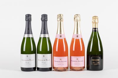 Selezione di Champagne, 5 Bottiglie assortite