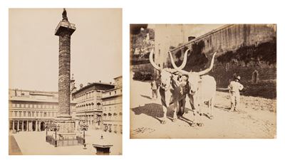 Senza Titolo (colonna Antonina, Roma ; Buoi)