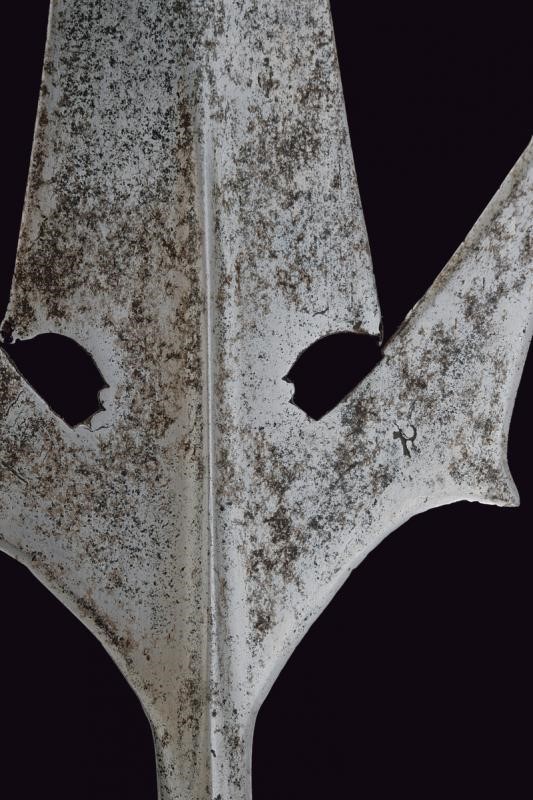 Corsesca a Pipistrello - Italia del Nord