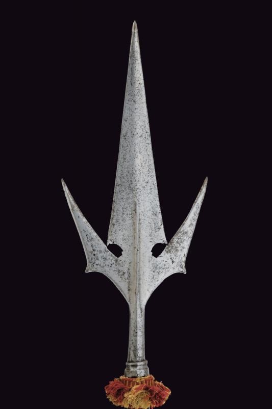 Corsesca a Pipistrello - Italia del Nord