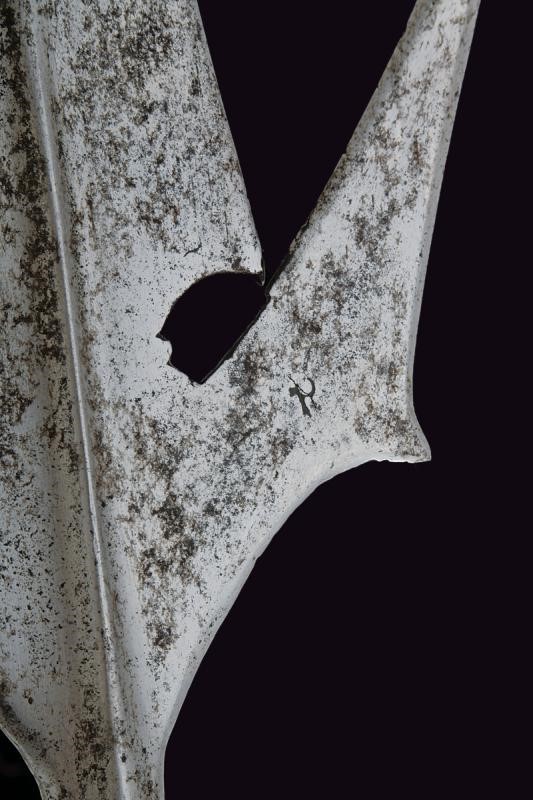 Corsesca a Pipistrello - Italia del Nord