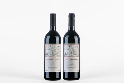 Fattoria Galardi, Terra di Lavoro Campania IGT 2006 (2 BT)