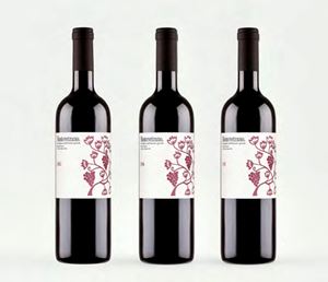 Campania - Campania - Cabernet, Merlot, Aglianico