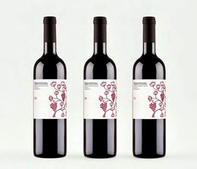Azienda Agricola Montevetrano, 'Montevetrano' 2005-2007 (3 bottiglie, una per annata)