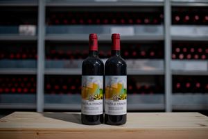 Toscana  - Toscana  - Super Tuscan