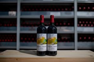 Toscana  - Toscana  - Super Tuscan