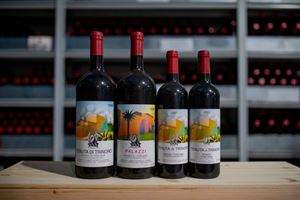 Toscana  - Toscana  - Super Tuscan