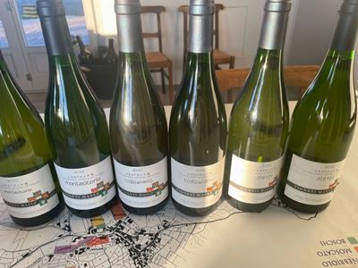 Vigneti Massa, Selezione Derthona Timorasso 2010-2011 (6 bottiglie)