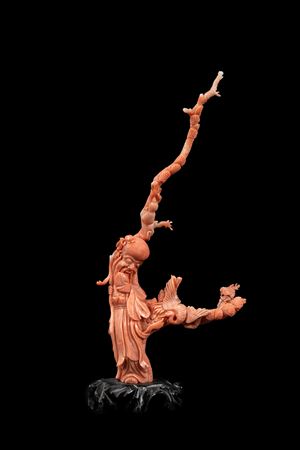  - A CORAL FIGURE