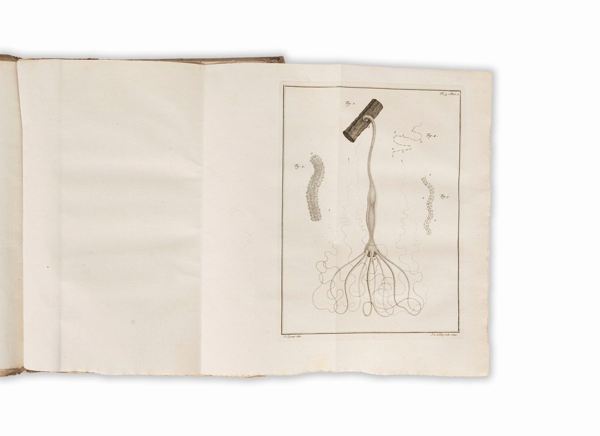 Abraham Trembley - Mémoires Pour Servir À L'histoire D'un Genre De Polypes D'eau Douce, À Bras En...