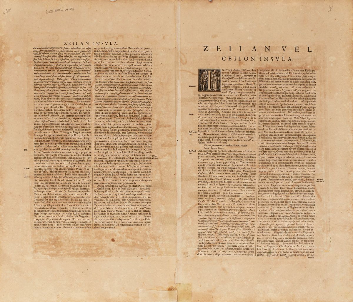 Ins. Ceilan Quae Incolis Tenarisin Dicitur.