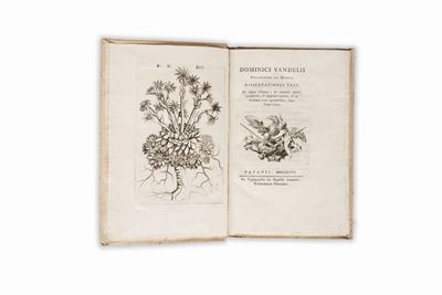 Dissertationes Tres. De Aponi Thermis: De Nonnullis Insectis Terrestribus, & Zoophytis Marinis, &...