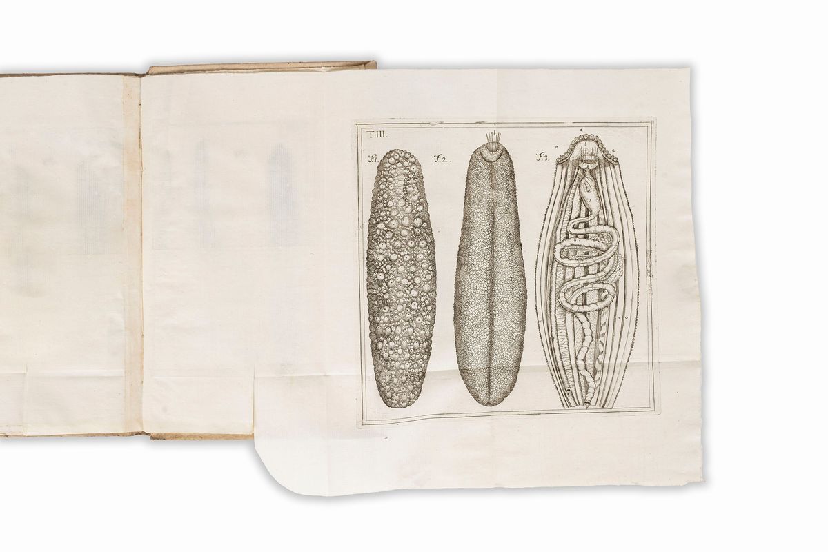 Domenico Vandelli - Dissertationes Tres. De Aponi Thermis: De Nonnullis Insectis Terrestribus, & ...