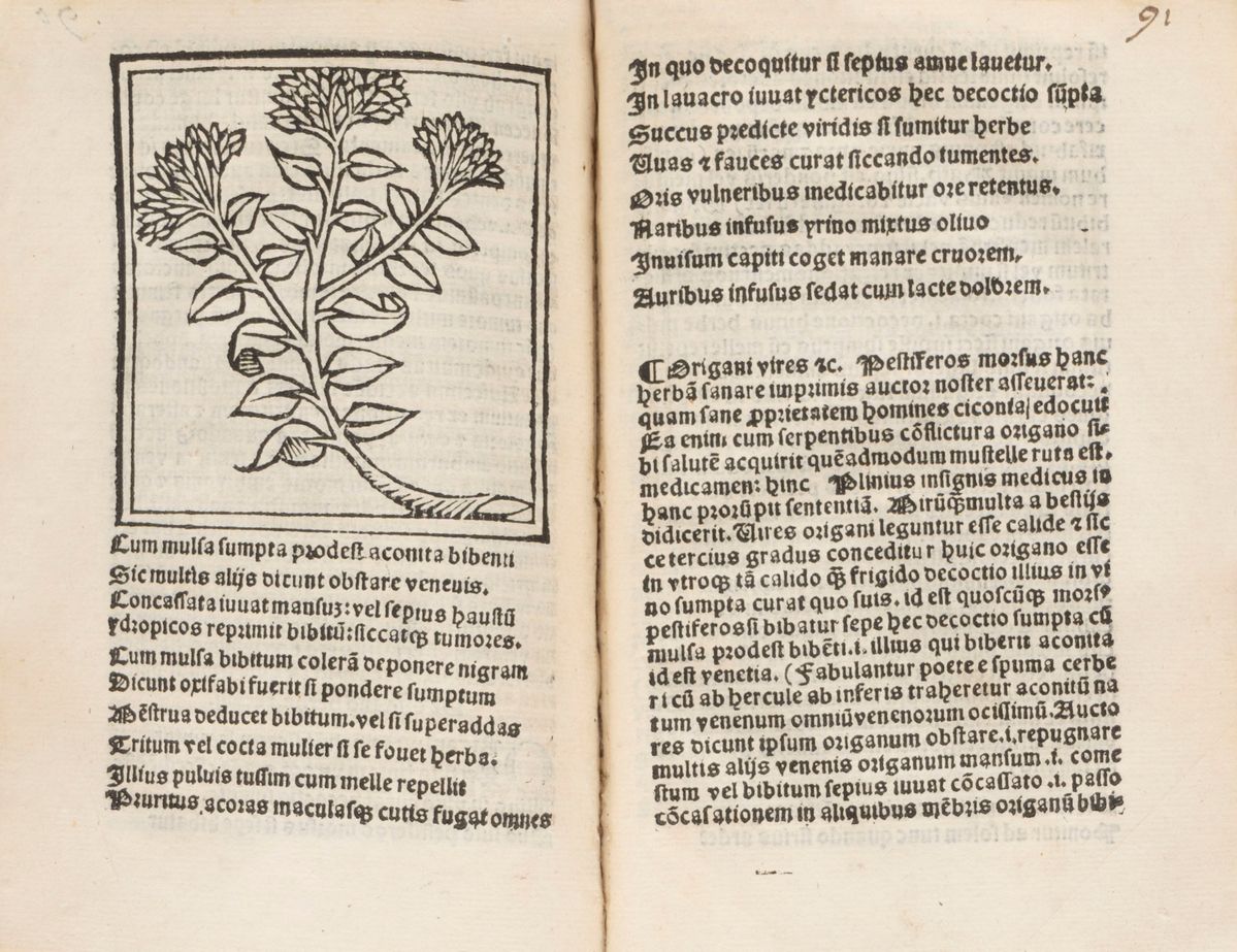 Macer Floridus (o Emilio), [pseudonimo di Odo di Meung?] - Herbarum Varias Qui Vis Cognoscere Vir...